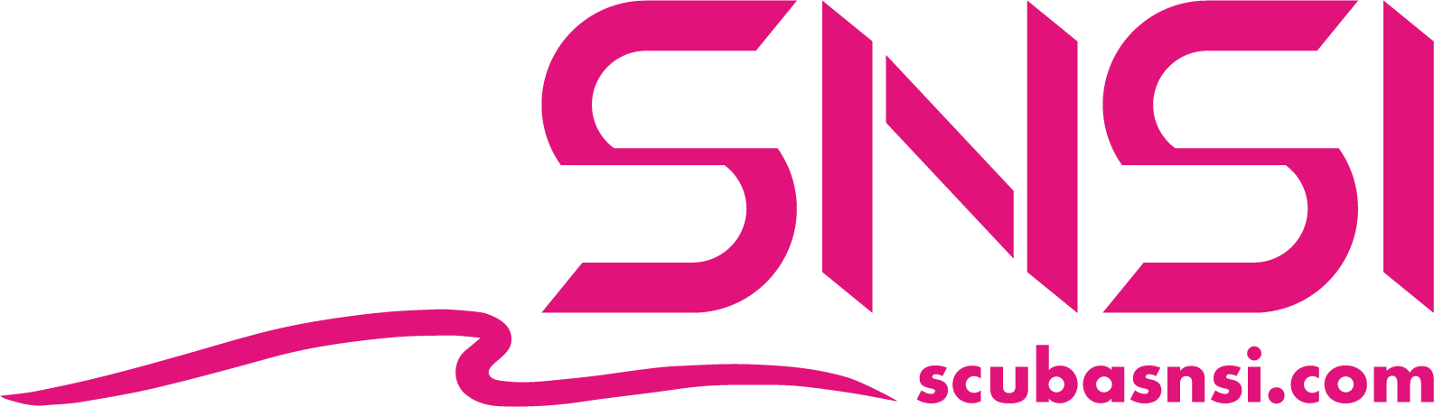 SNSI Japan
